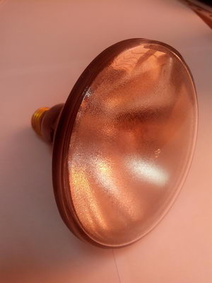 Lamp_ZB100F1.jpg